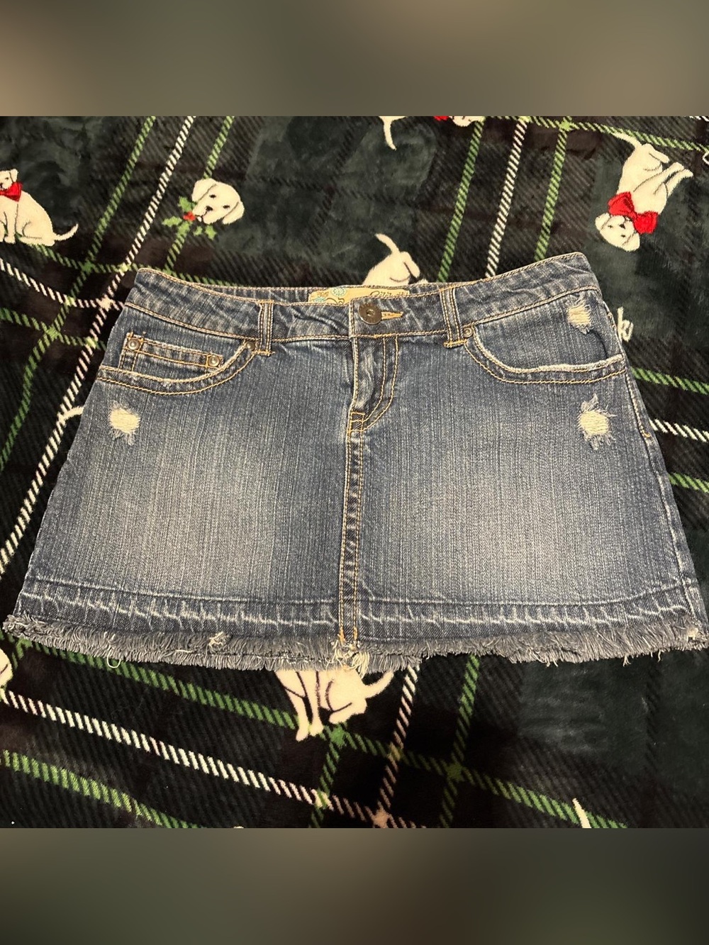 Women's Blue Distressed Denim Mini Skirt